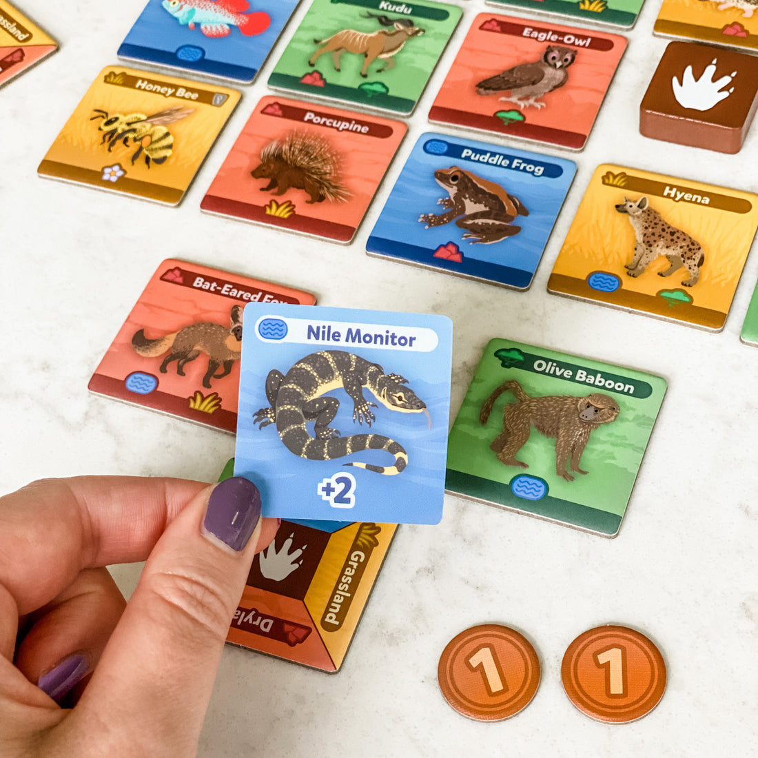 Ecology Game SavannaScapes—Our Wildest Game Yet
