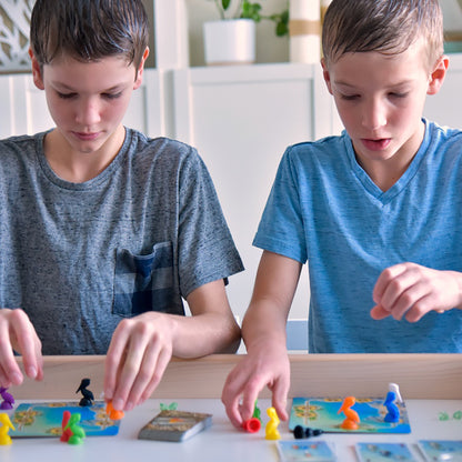Pelican Cove by SimplyFun is a fun algebra game focusing on spatial reasoning and quick thinking for ages 8 and up.
