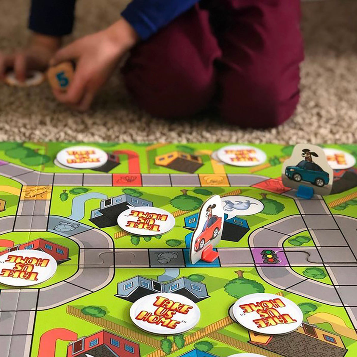 Take Us Home by SimplyFun is a fun pet game focusing on counting and matching for ages 5 and up.