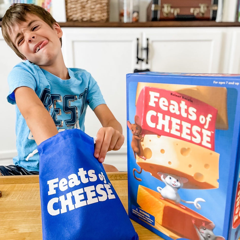 Feats of Cheese by SimplyFun is a fun physics game for ages 7 and up.