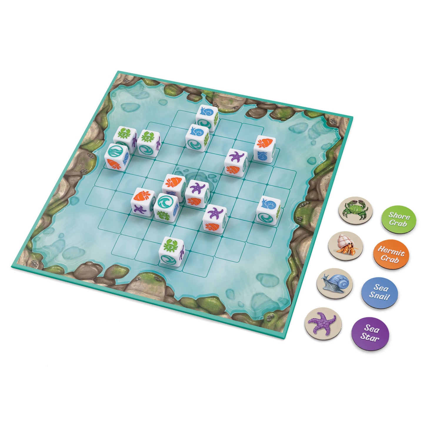 Rolling Tides - a fun dice game and decision-making game